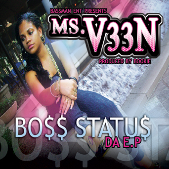 MSV33N